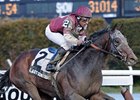 Last Gunfighter, Alpha Top Hawthorne Gold Cup Last Gunfighter, Alpha Top Hawthorne Gold Cup