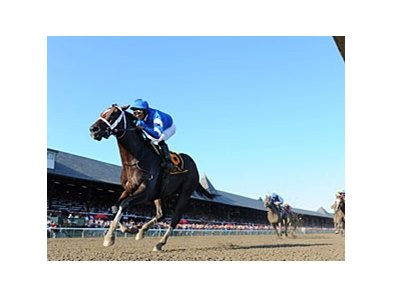 Emcee
<br><a target="blank" href="http://photos.bloodhorse.com/AtTheRaces-1/at-the-races-2012/22274956_jFd5jM#!i=2061176960&k=C82PxTs">Order This Photo</a>