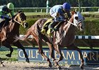 East Hall Tops Wildcat Red at Gulfstream West East Hall Tops Wildcat Red at Gulfstream West