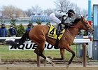 Freudie Anne
<br><a target="blank" href="
http://photos.bloodhorse.com/AtTheRaces-1/At-the-Races-2014/i-hksm5Bj">Order This Photo</a>