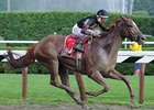 Ginger Punch Tries 10 Furlongs Ginger Punch Tries 10 Furlongs