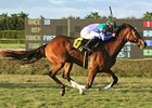 Casablanca Smile leads the way in the La Prevoyante at Calder.