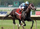 Verrazano<br><a target="blank" href="http://photos.bloodhorse.com/AtTheRaces-1/at-the-races-2013/27257665_QgCqdh#!i=2662607600&k=c3tFwXz">Order This Photo</a>