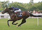 Yeats Makes History in Gold Cup Yeats Makes History in Gold Cup
