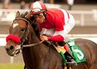 Acclamation faces 7 in the Eddie Read.<br><a target="blank" href="http://www.bloodhorse.com/horse-racing/photo-store?ref=http%3A%2F%2Fpictopia.com%2Fperl%2Fgal%3Fprovider_id%3D368%26ptp_photo_id%3D9525693%26ref%3Dstory">Order This Photo</a>