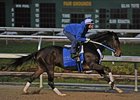 Rachel Alexandra breezed an easy half-mile in :52 at Fair Grounds with exercise rider Dominic Terry aboard.<br><a target="blank" href="http://www.bloodhorse.com/horse-racing/photo-store?ref=http%3A%2F%2Fpictopia.com%2Fperl%2Fgal%3Fprovider_id%3D368%26ptp_photo_id%3D8770041%26ref%3Dstory">Order This Photo</a>