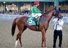 Animal Kingdom
<br><a target="blank" href="http://photos.bloodhorse.com/BreedersCup/2012-Breeders-Cup/Mile/26128708_Rzcb63#!i=2201893798&k=KpVMB2v">Order This Photo</a>