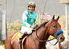 American Pharoah Shows Readiness for Rebel American Pharoah Shows Readiness for Rebel