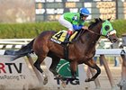 Redeemed flies home in the Discovery. <br><a target="blank" href="http://www.bloodhorse.com/horse-racing/photo-store?ref=http%3A%2F%2Fpictopia.com%2Fperl%2Fgal%3Fprovider_id%3D368%26ptp_photo_id%3D9743859%26ref%3Dstory">Order This Photo</a>