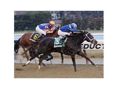 Elghayoor overcomes the pacesetters to win the Cicada.<br><a target="blank" href="http://photos.bloodhorse.com/AtTheRaces-1/at-the-races-2013/27257665_QgCqdh#!i=2410962005&k=6zWRCtZ">Order This Photo</a>