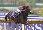 Breeders' Cup Juvenile (gr. I) winner War Pass heads second-highest number of early Triple Crown nominees ever.<br><a target="blank" href="http://www.bloodhorse.com/horse-racing/photo-store?ref=http%3A%2F%2Fpictopia.com%2Fperl%2Fgal%3Fprovider_id%3D368%26ptp_photo_id%3D2626406%26ref%3Dstory">Order This Photo</a>