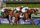 Conduit in the 2009 Breeders' Cup Turf
