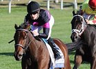 Kathmanblu Easy Jessamine Winner Kathmanblu Easy Jessamine Winner