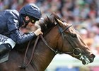 BC Pedigree Profile: Henrythenavigator BC Pedigree Profile: Henrythenavigator
