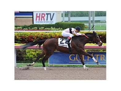 Devil's Cave comes home strong to win the Ocala.<br><a target="blank" href="http://photos.bloodhorse.com/AtTheRaces-1/at-the-races-2013/27257665_QgCqdh#!i=2995373966&k=nPKNGQS">Order This Photo</a>