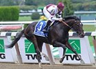 Royal Delta Headed for Ladies' Classic, Dubai Royal Delta Headed for Ladies' Classic, Dubai