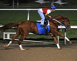 Curlin Posts Work at Fair Grounds Curlin Posts Work at Fair Grounds
