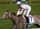 Juv Fillies Turf: Laragh Tepid Choice Juv Fillies Turf: Laragh Tepid Choice