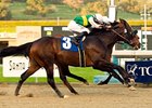 Air Commander returns for the Strub Stakes after his 52-1 shock in the San Fernando.<br><a target="blank" href="http://www.bloodhorse.com/horse-racing/photo-store?ref=http%3A%2F%2Fpictopia.com%2Fperl%2Fgal%3Fprovider_id%3D368%26ptp_photo_id%3D3278386%26ref%3Dstory">Order This Photo</a>