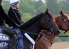 Dialed In Preakness Win Would Help Others Dialed In Preakness Win Would Help Others