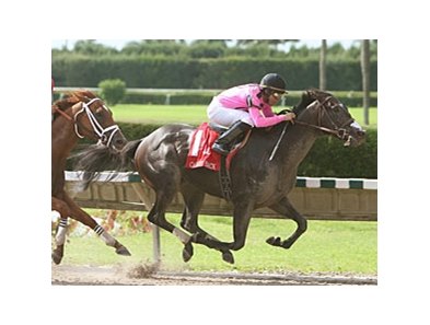Coffee Boy pulls away from favorite D' Funnybone to win the Carry Back.