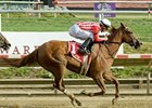 Secret Gypsy Prevails in Endine Stakes Secret Gypsy Prevails in Endine Stakes