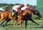 Chief Kitten
<br><a target="blank" href="http://photos.bloodhorse.com/AtTheRaces-1/At-the-Races-2014/i-RWKqB9H">Order This Photo</a>