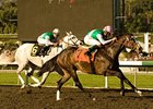 Ventura is the favorite for the 2009 Vinery Madison, a race she won last year.<br><a target="blank" href="http://www.bloodhorse.com/horse-racing/photo-store?ref=http%3A%2F%2Fpictopia.com%2Fperl%2Fgal%3Fprovider_id%3D368%26ptp_photo_id%3D7610819%26ref%3Dstory">Order This Photo</a>