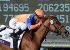 Zagora won the 2012 Breeders' Cup Filly & Mare Turf at Santa Anita.<br><a target="blank" href="http://photos.bloodhorse.com/BreedersCup/2012-Breeders-Cup/Filly-Mare-Turf/26130199_Qw6hnv#!i=2191959225&k=JNqGLs9">Order This Photo</a>
