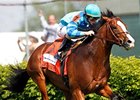 Last time out, Get Stormy won the Woodford Reserve Turf Classic at Derby Day at Churchill Downs.<br><a target="blank" href="http://www.bloodhorse.com/horse-racing/photo-store?ref=http%3A%2F%2Fpictopia.com%2Fperl%2Fgal%3Fprovider_id%3D368%26ptp_photo_id%3D9517360%26ref%3Dstory">Order This Photo</a>