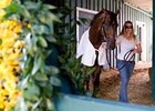 Preakness Notes: May 18 Preakness Notes: May 18