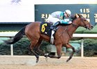 Comedero will carry top weight of 122 pounds in the Chick Lang Stakes.
