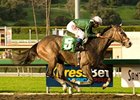 The Pamplemousse cruises in the Sham.<br><a target="blank" href="http://www.bloodhorse.com/horse-racing/photo-store?ref=http%3A%2F%2Fpictopia.com%2Fperl%2Fgal%3Fprovider_id%3D368%26ptp_photo_id%3D7833045%26ref%3Dstory">Order This Photo</a>