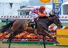 Summer Applause comes home strong to win the Allaire DuPont Distaff Stakes.<br><a target="blank" href="http://photos.bloodhorse.com/AtTheRaces-1/at-the-races-2013/27257665_QgCqdh#!i=2519351354&k=whzn3Pp">Order This Photo</a>