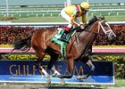 Dreaming of Julia faces 4 in the Mother Goose Stakes.<br><a target="blank" href="http://photos.bloodhorse.com/AtTheRaces-1/at-the-races-2013/27257665_QgCqdh#!i=2433030369&k=Dqb69h2">Order This Photo</a>