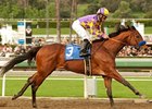 Switch seeks her second grade I triumph in a row in the Santa Monica Stakes. <br><a target="blank" href="http://www.bloodhorse.com/horse-racing/photo-store?ref=http%3A%2F%2Fpictopia.com%2Fperl%2Fgal%3Fprovider_id%3D368%26ptp_photo_id%3D9346080%26ref%3Dstory">Order This Photo</a>