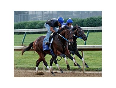 Nehro working at Churchill Downs in preparation for the Belmont Stakes.