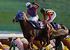 Toho Jackal Streaks to Course Record at Kyoto Toho Jackal Streaks to Course Record at Kyoto