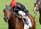 Point of Entry<br><a target="blank" href="http://photos.bloodhorse.com/AtTheRaces-1/at-the-races-2012/22274956_jFd5jM#!i=1816311251&k=Hkwr9Vw">Order This Photo</a>
