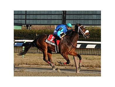Deputy Daney stretched his unbeaten steak to three by winning the Jimmy Winkfield Stakes at Aqueduct.<br><a target="blank" href="http://www.bloodhorse.com/horse-racing/photo-store?ref=http%3A%2F%2Fpictopia.com%2Fperl%2Fgal%3Fprovider_id%3D368%26ptp_photo_id%3D8749041%26ref%3Dstory">Order This Photo.</a>