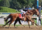 Ginger Punch outnods Lemon Drop Mom in the Personal Ensign.<br><a target="blank" href="http://www.bloodhorse.com/horse-racing/photo-store?ref=http%3A%2F%2Fpictopia.com%2Fperl%2Fgal%3Fprovider_id%3D368%26ptp_photo_id%3D5625342%26ref%3Dstory">Order This Photo</a>