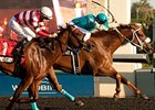 Essence Hit Man holds off Dimension to win the Bold Venture Stakes.