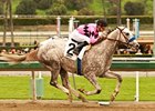 Undefeated Flashback drew post 2 in the San Felipe.