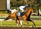 Favored Sidney's Candy scored a decisive victory in the San Vicente Stakes.<br><a target="blank" href="http://www.bloodhorse.com/horse-racing/photo-store?ref=http%3A%2F%2Fpictopia.com%2Fperl%2Fgal%3Fprovider_id%3D368%26ptp_photo_id%3D8795215%26ref%3Dstory">Order This Photo</a>