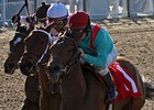 Chantilly Naya has won four of eight starts.