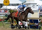 Blame impresses in the William Donald Schaefer Stakes.<br><a target="blank" href="http://www.bloodhorse.com/horse-racing/photo-store?ref=http%3A%2F%2Fpictopia.com%2Fperl%2Fgal%3Fprovider_id%3D368%26ptp_photo_id%3D8959404%26ref%3Dstory">Order This Photo</a>