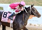 Sabercat won the 2011 Delta Downs Jackpot.