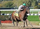 Salutos Amigos dominates the Bold Ruler Handicap.<br><a target="blank" href="http://photos.bloodhorse.com/AtTheRaces-1/At-the-Races-2014/i-rww38kf">Order This Photo</a>
