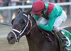 Unbridled Belle Begins Campaign in Obeah Unbridled Belle Begins Campaign in Obeah