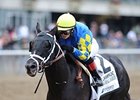 Featured Horse Profile: Shanghai Bobby Featured Horse Profile: Shanghai Bobby